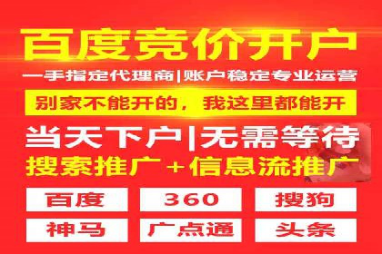SEM广告案例：数据分析驱动营销决策